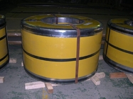 Porcellana Striscia dell'acciaio inossidabile 310/310S del CR/ora di ASTM AISI JIS per edilizia degli scambiatori di calore/navi distributore 